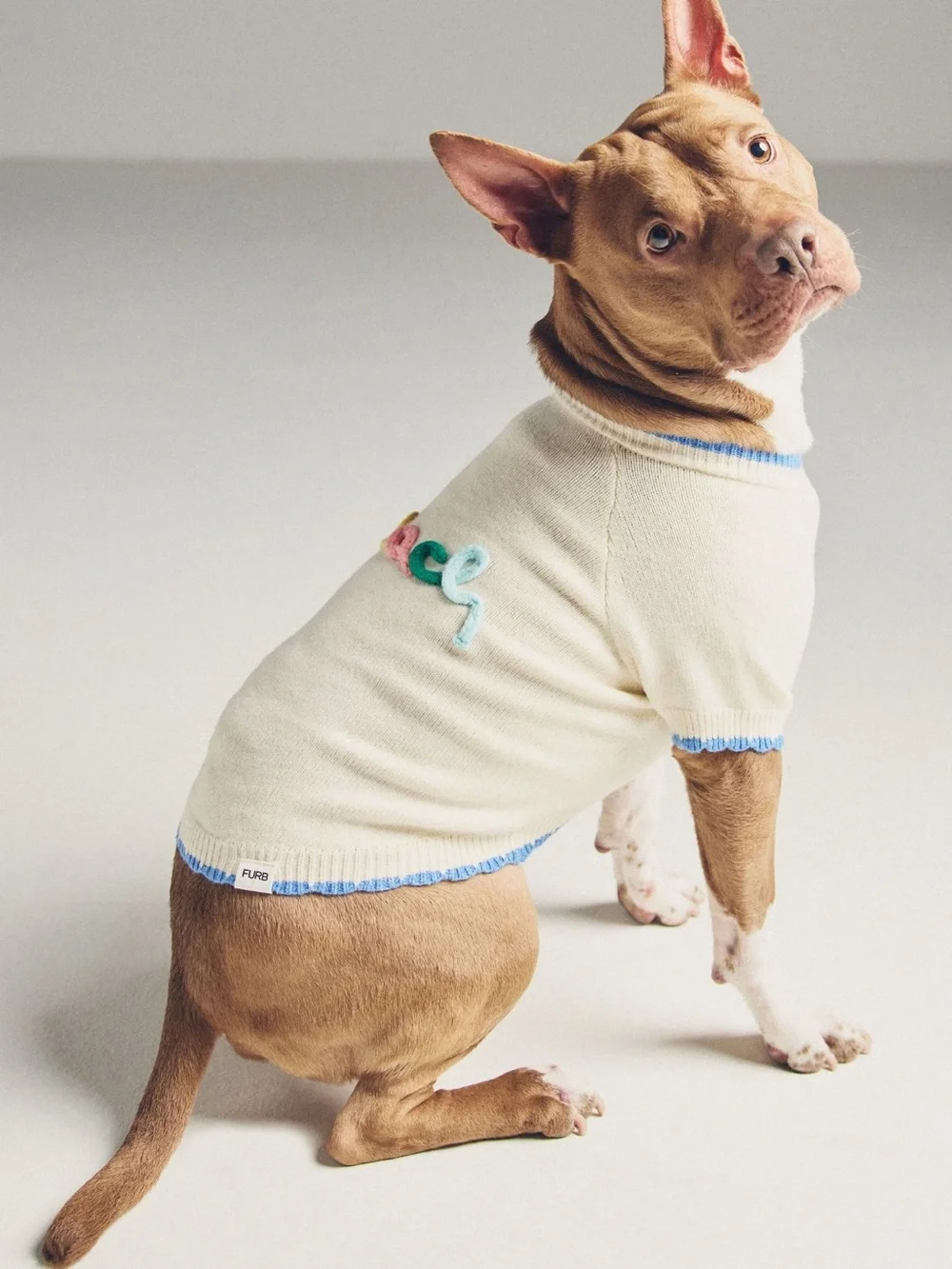 Anthropologie FURB beach bum dog sweater new